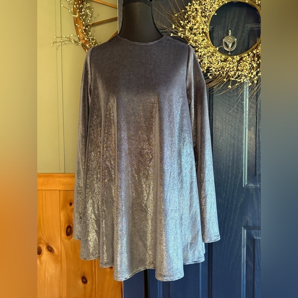 Show Me Your MuMu Shimmering Silver Mini Dress NWT size XS